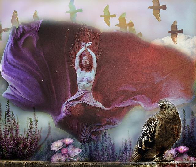 老練的核心 老練的核心